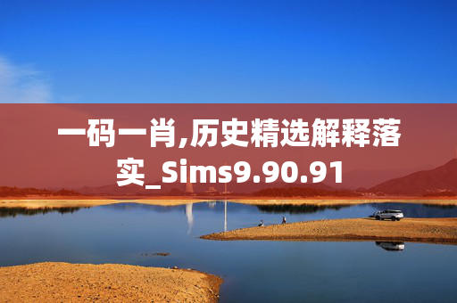 一码一肖,历史精选解释落实_Sims9.90.91