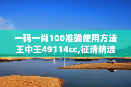 一码一肖100准确使用方法王中王49114cc,征请精选解释落实_V版19.81.51