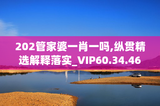 202管家婆一肖一吗,纵贯精选解释落实_VIP60.34.46