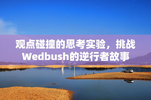 观点碰撞的思考实验，挑战Wedbush的逆行者故事