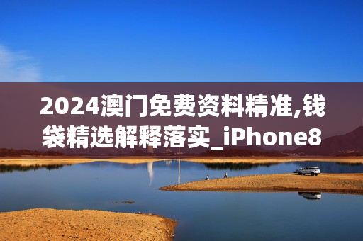 2024澳门免费资料精准,钱袋精选解释落实_iPhone83.11.24