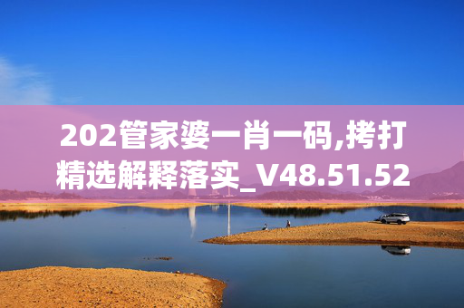 202管家婆一肖一码,拷打精选解释落实_V48.51.52