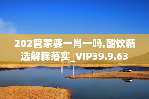 202管家婆一肖一吗,酣饮精选解释落实_VIP39.9.63