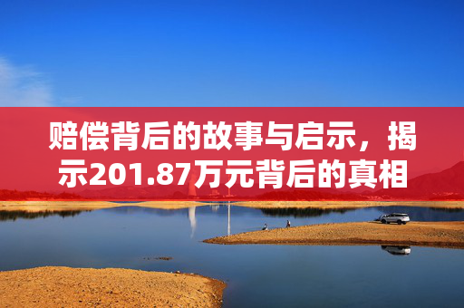 赔偿背后的故事与启示，揭示201.87万元背后的真相与教训