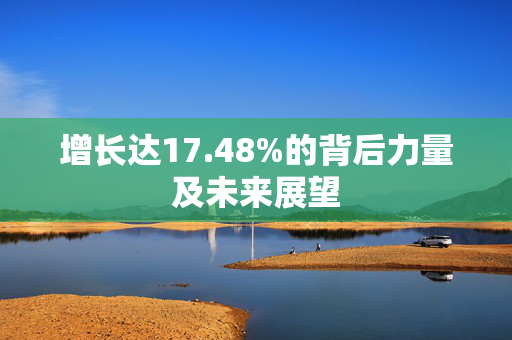 增长达17.48%的背后力量及未来展望