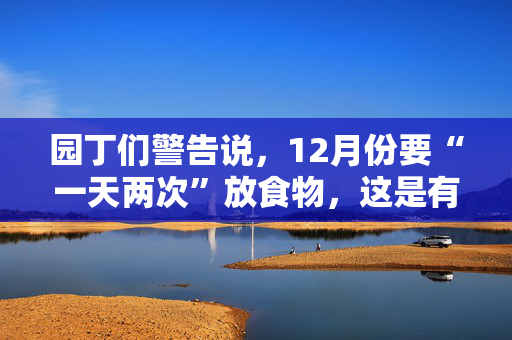 园丁们警告说，12月份要“一天两次”放食物，这是有重要原因的