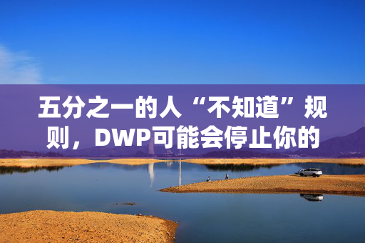 五分之一的人“不知道”规则，DWP可能会停止你的福利的五个原因