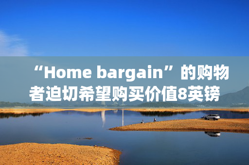 “Home bargain”的购物者迫切希望购买价值8英镑的“神奇”袜子填充物