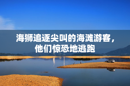 海狮追逐尖叫的海滩游客，他们惊恐地逃跑