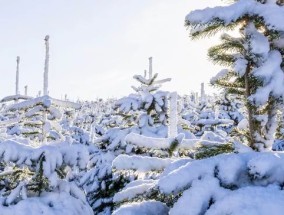 北极风暴将在几小时内袭击英国，英国的雪图变成了紫色