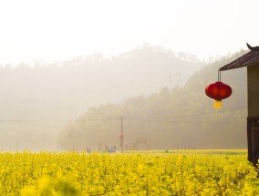 河间花卉基地，绿意盎然，生机绽放