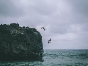 湖南滑翔伞坠落事故悲剧启示，游客与教练不幸身亡敲响安全警钟