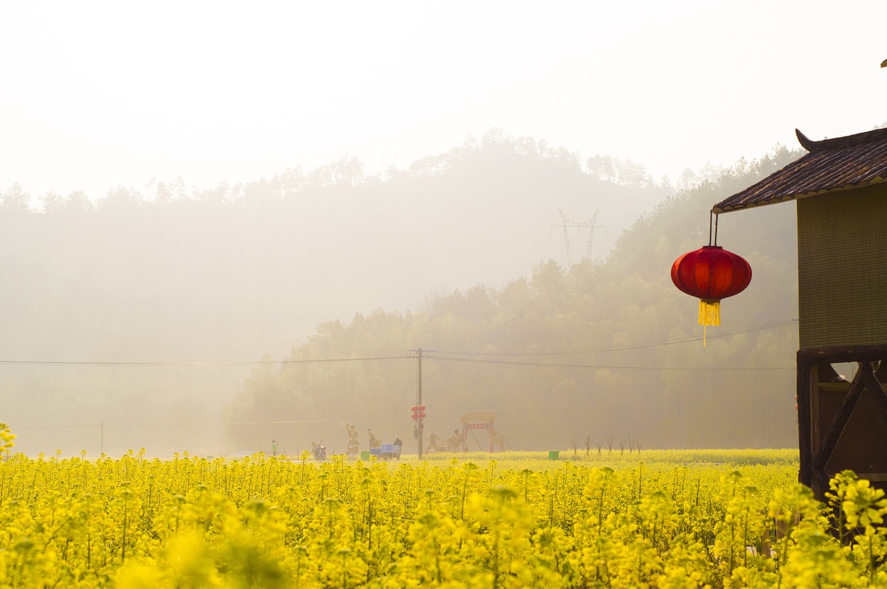 河间花卉基地，绿意盎然，生机绽放