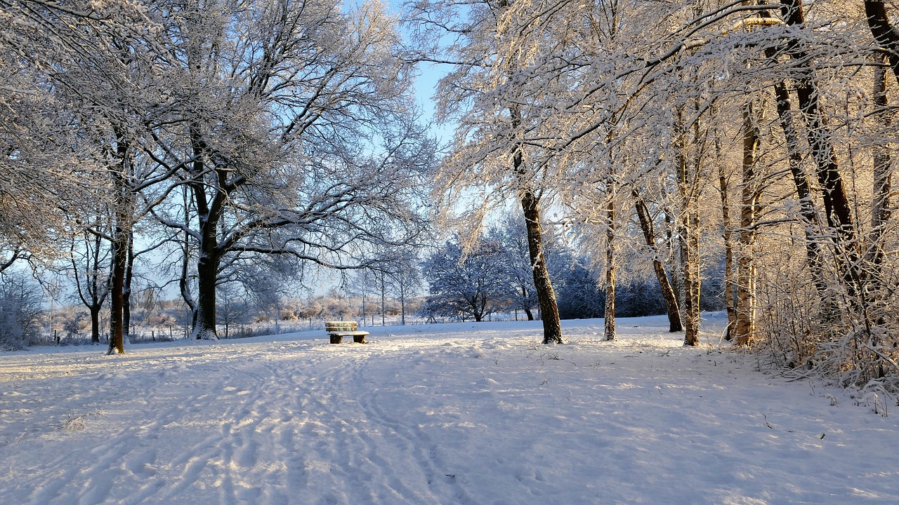 冰雪奇缘，许愿氛围中的神秘魅力