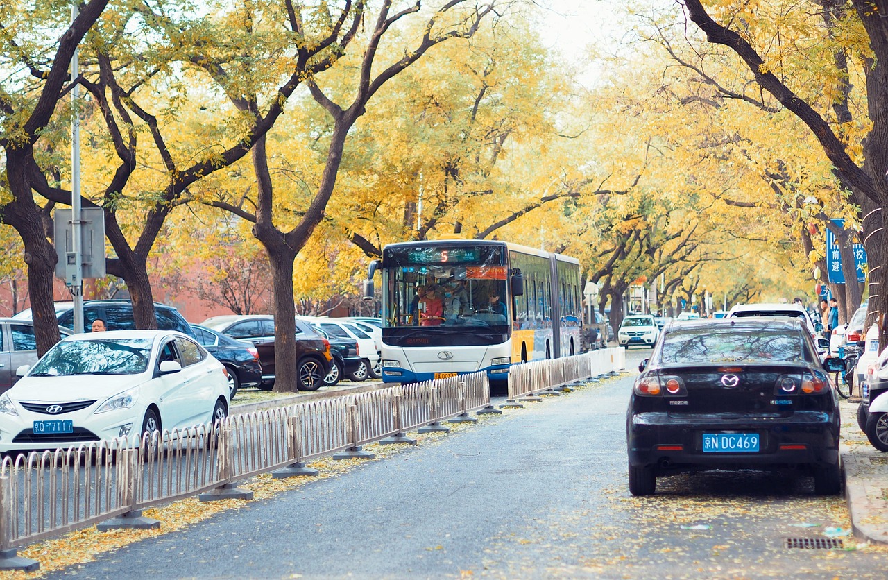 港媒报道，春节中国跨境出行迎来新高潮