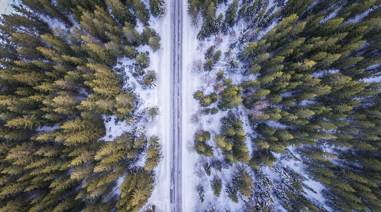 冰雪伊春真热！森林冰雪线上搜索量暴涨821%